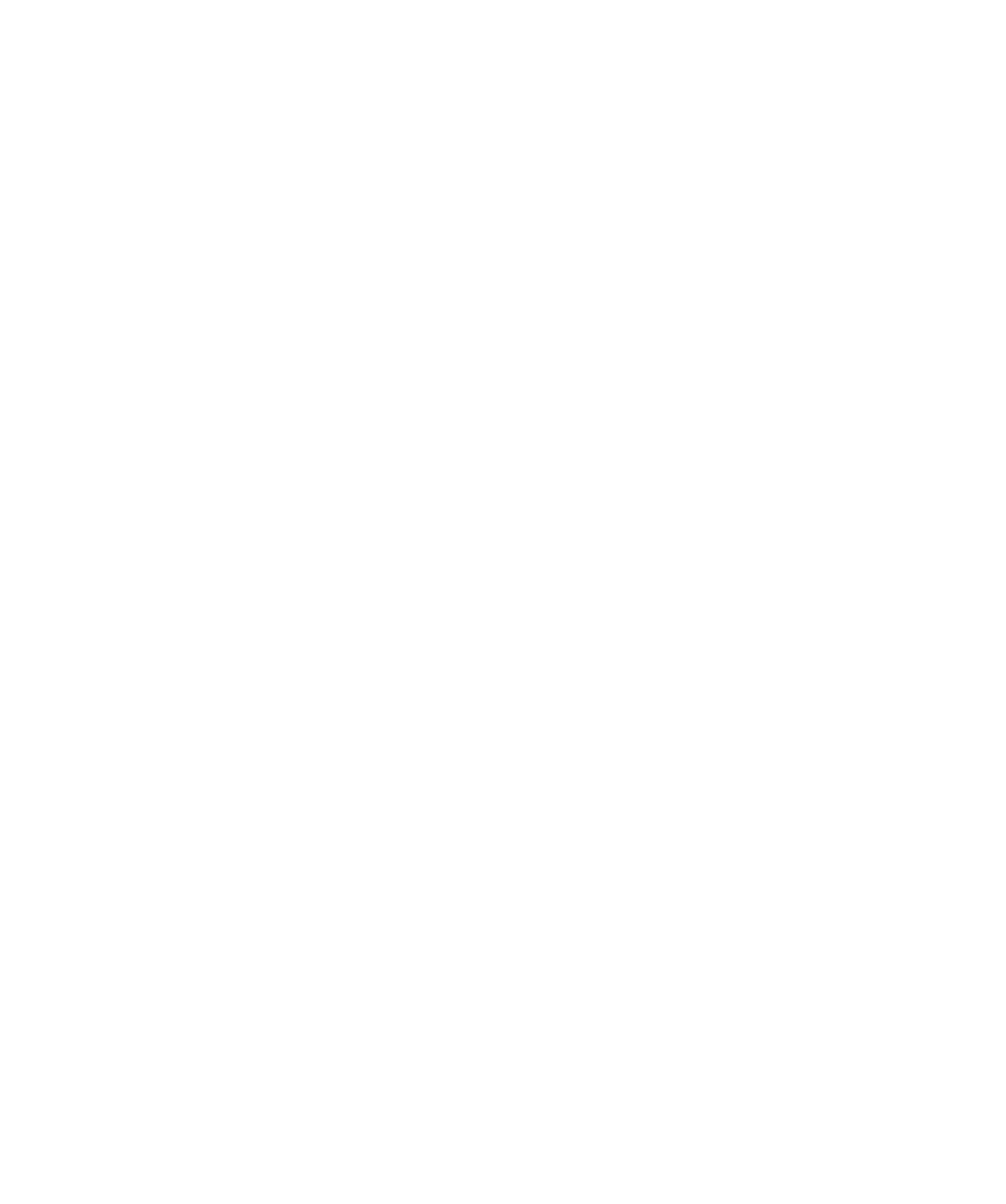 DigiJeti-logo-white