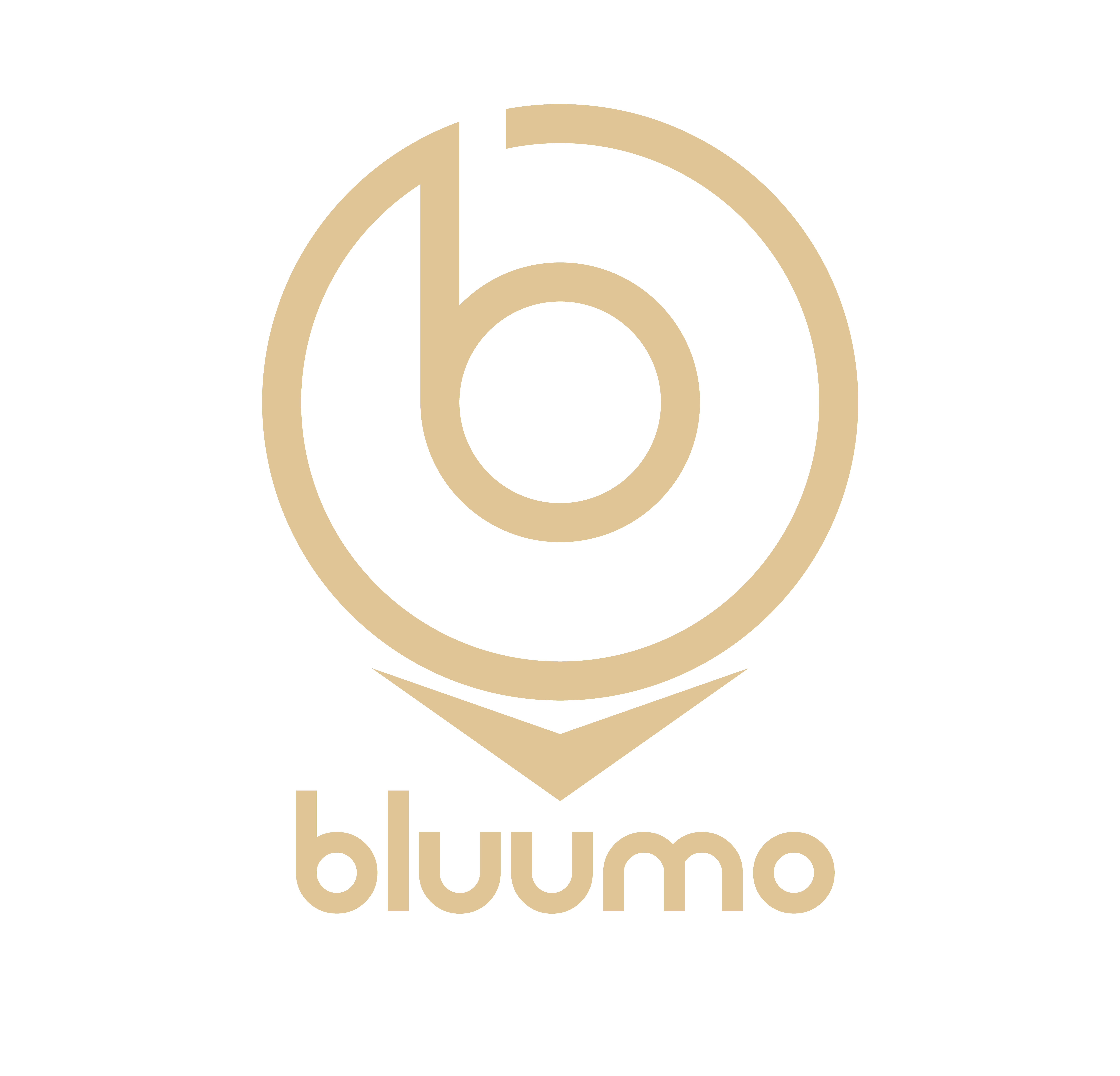 Bluumo logo